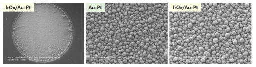 IrOx/Au-Pt 나노구조체로 표면 개질된 SU-8 기반 유연신경전극의 표면 FESEM 이미지