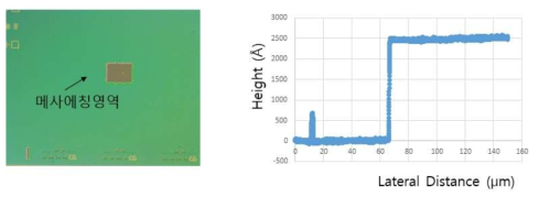 메사에칭 영역 및 표면 높이 프로파일