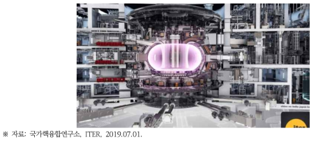 ITER 장치 개념도