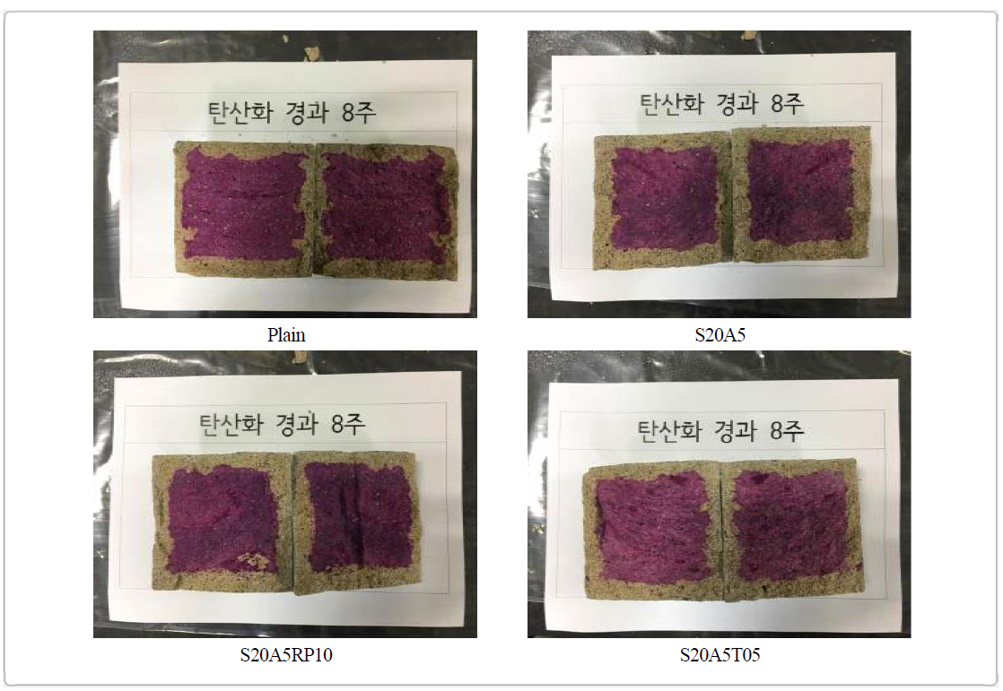 섬유 그물망 지보재용 숏크리트의 탄산화 측정 결과 (8주)