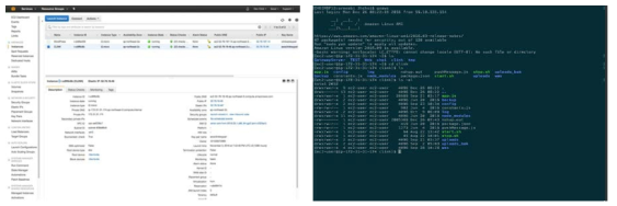 EC2 대시보드 및 터미널 접속 콘솔