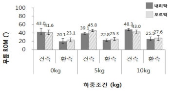 하중에 따른 무릎 ROM (RT1 조건 1: Assist 2, Brake 2, Speed 2 단계)