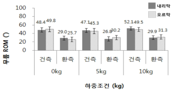 하중에 따른 무릎 ROM (RT2 조건 1: Assist 2, Brake 2, Speed 2 단계)