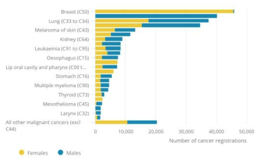 2015년 영국의 암등록자 수 현황