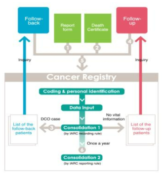 일본 Cancer Registries 데이터 통합 절차