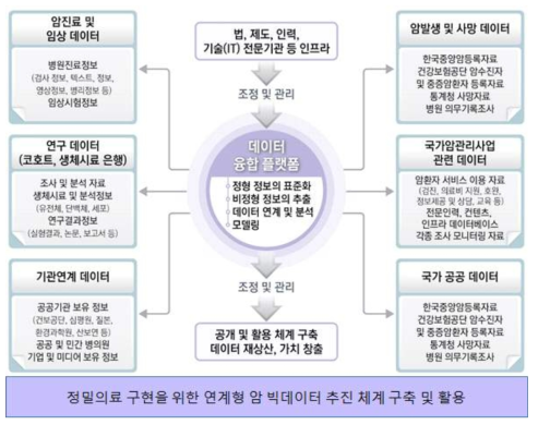 정밀의료 구현을 위한 연계형 암 빅데이터 추진 체계 구축 및 활용