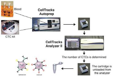 CellSearchTM System