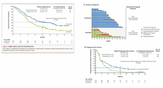 PD-L1 immunotherapy in NSCLC (Julie B, et al. NEJM, 2015)