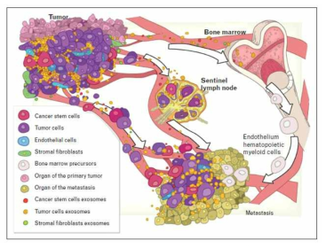 Overview of the role of exosomes and microvesicles in promoting metastasis