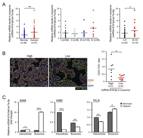 폐암환자의 혈액에서 exosomal miRNA-619-5p의 발현 확인