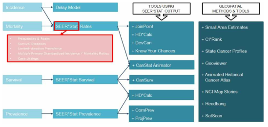 SEER 암 관련 역학 지표 이용 분석 툴