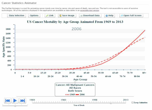 SEER 제공 암 지표 분석 툴 : Cancer Statistics Animator