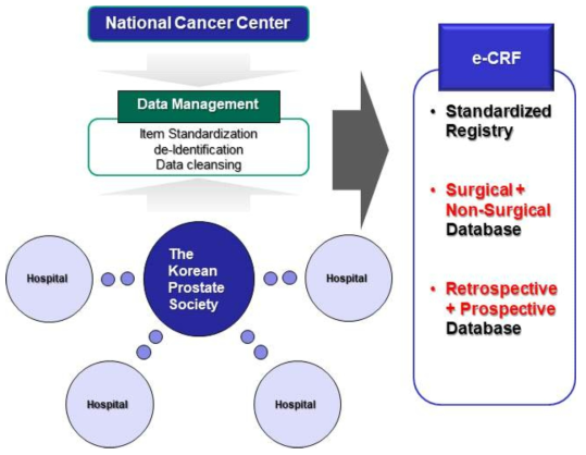 전립선암 레지스트리 데이터베이스 구축