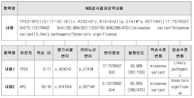 NGS검사결과요약내용 항목 분할구축 예시