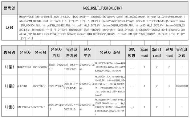 NGS검사결과요약내용 항목 분할구축 예시