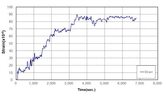 시험결과 L=3,000, strain