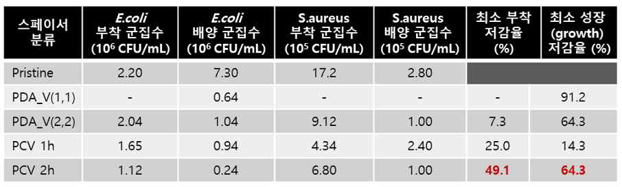 스페이서 부착 및 성장 저해율