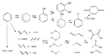 Benzene의 Fenton reaction 인한 중간 산화물