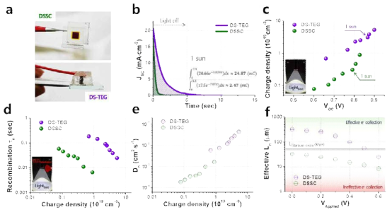 (a) 제작한 염료감응 열전 융합 소자(하, DS-TEG)와 동일 환경에서 비교를 위해 제작한 염료감응 태양전지(상, DSSC), (b) Direct Measurement method를 이용하여 측정한 두 소자의 가용 캐리어 양, (c) 태양광 조사량(소자의 회로 개방 전압)에 따른 두 소자의 가용 캐리어 농도, (d) 두 소자의 캐리어 농도에 따른 (d) 과잉 캐리어 재결합 수명과 (e) 확산 계수, (f) 두 소자에 가해준 외부 전압에 따른 캐리어 유효 확산 거리