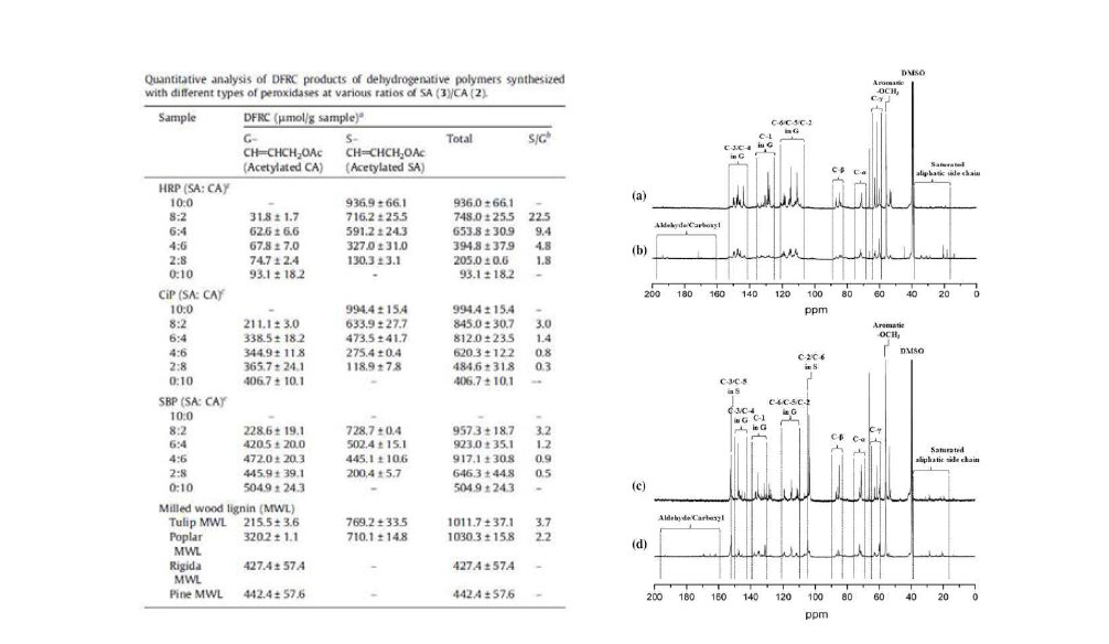 DHP를 이용한 합성 리그닌 구조 분석 결과 (1)
