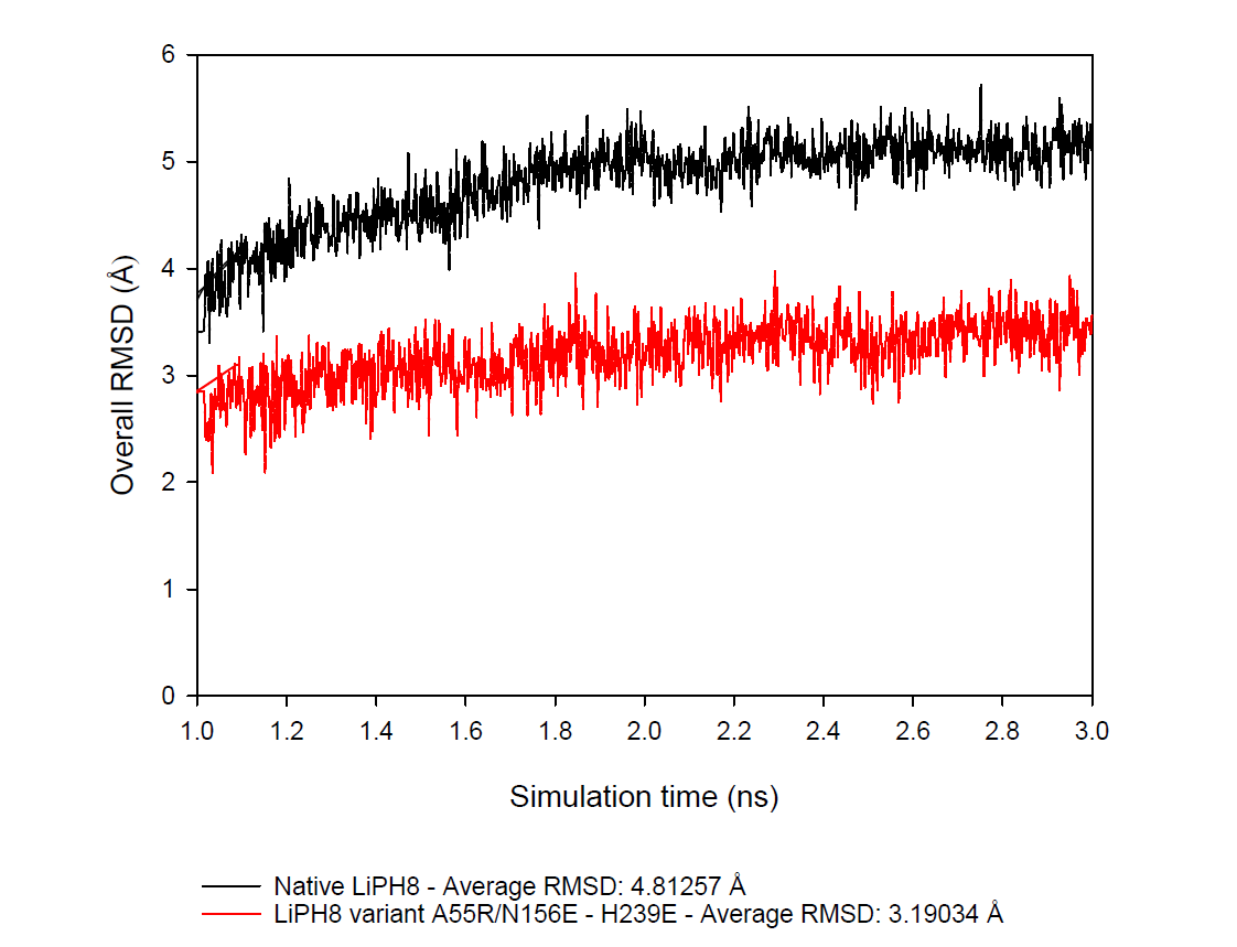 300K에서 MD 시뮬레이션의 마지막 2ns 동안 LiPH8 변이체의 RMSD 변화