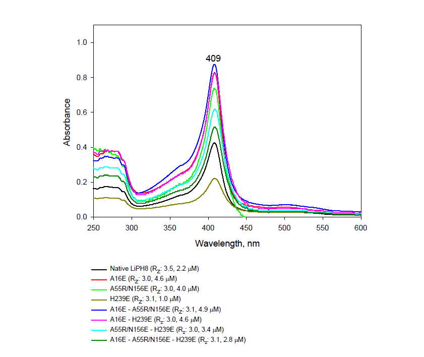 실온에서 분광 광도계로 기록된 고유 및 변이체의 UV-Vis 스펙트럼. 단백질 샘플은 아세테이트 완충액 10mM, pH 6.0에서 제조됨