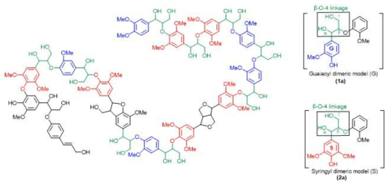β-O-4 결합에 대한 리그닌 구조 및 대표적인 이량체 모델