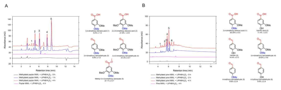 메틸화된 포플러 MWL(A) 및 메틸화된 파인 MWL(B)의 LiPH8/H2O2 촉매화된 해중합으로부터의 모노머 생성물의 HPLC 크로마토그램 및 백분율 분포. 메틸화된 리그닌의 해중합을 BR 완충제 0.1M, pH 3.0에서 수행하였음. 메틸화된 리그닌 및 효소는 각각 2mg/ml 및 2μM의 작동 농도로 제조되었음. 50μM/15분의 공급 속도로 H2O2를 첨가하여 반응을 시작하고 4시간 후에 정지시켰음. 메틸화되지 않은 MWL과의 반응도 동일한 조건에서 수행되었음