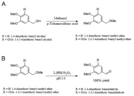 벤질메틸에테르의 합성(A) 및 LiPH8/H2O2 촉매화된 탈메틸화 반응(B)