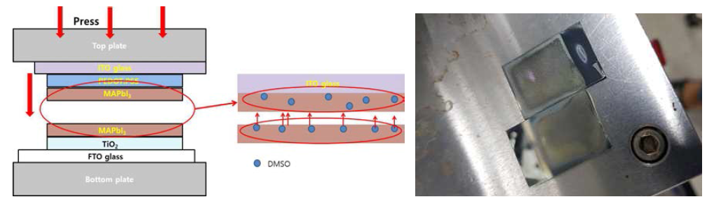 열 압착방식을 이용한 페로브스카이트층 접합 방법(좌), 이를 기반으로 제작된 페로브스카이트 소자의 사진(우)
