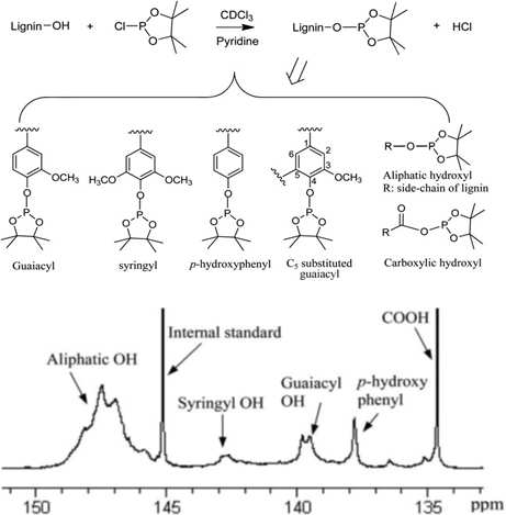 31P NMR 에 의한 리그닌 분석법 및 31P NMR 스펙트럼