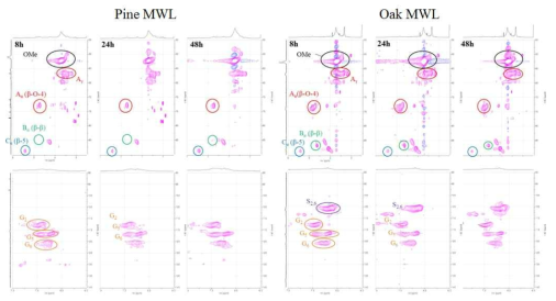 소나무MWL 과 신갈나무 MWL의 2D NMR 스펙트라