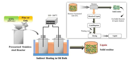 소나무 세포벽으로부터 GVL-리그닌 추출 반응 모식도