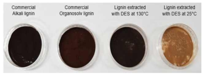 추출 방법에 따른 리그닌의 사진