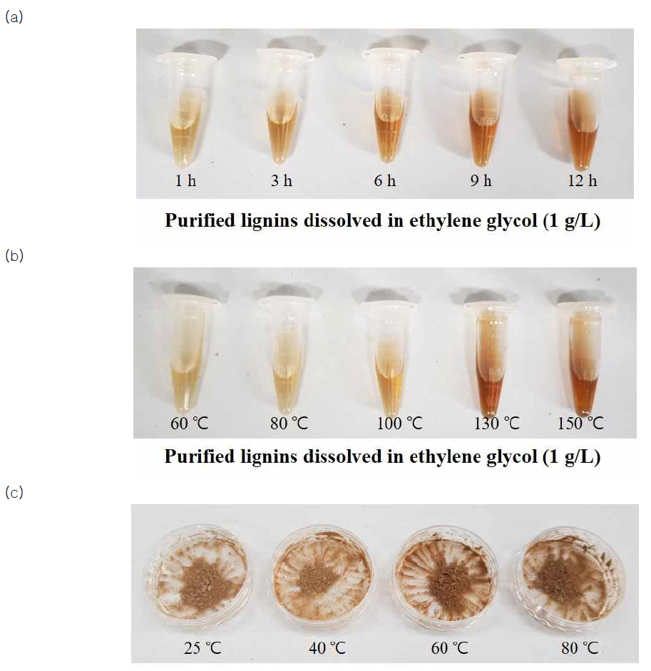 추출 조건에 따른 리그닌의 변색 정도 (a) 130℃ (b) 6시간 (c) 24시간을 통제변인으로 함