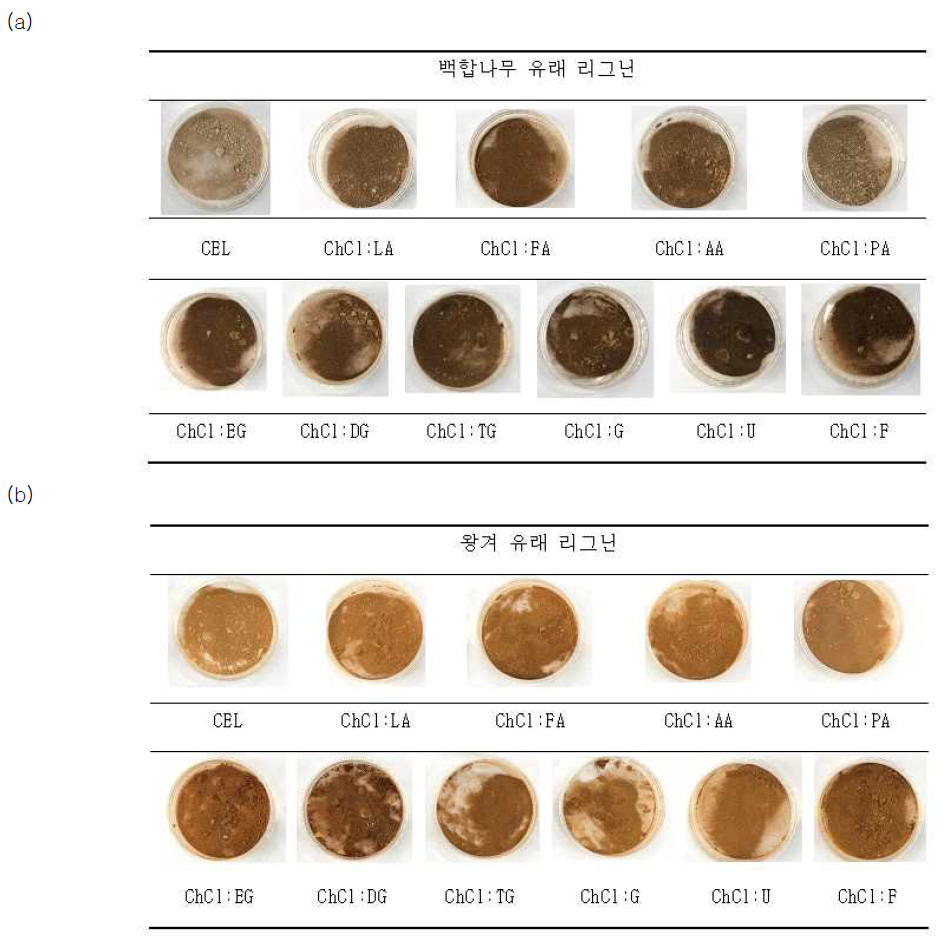 백합나무 및 왕겨 유래 리그닌 (a) 백합나무 (b) 왕겨