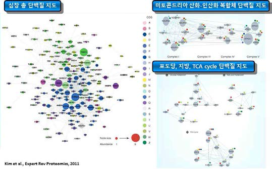 허혈성심장질환 오믹스데이터 기반 단백질네트워크