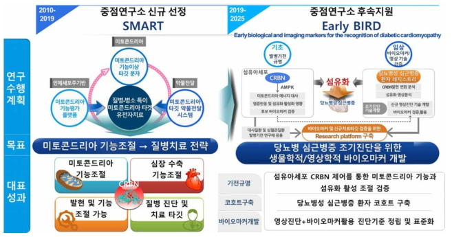 후속 연구과제의 수행 계획 및 수행 전략