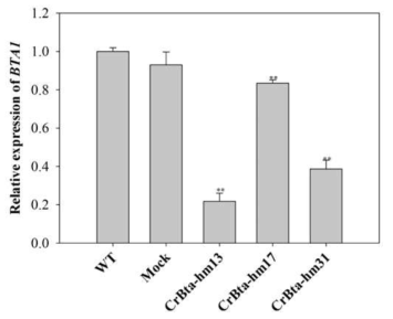 qRT-PCR을 통한 BTA1 gene expression level 확인