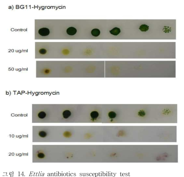 Ettlia antibiotics susceptibility test