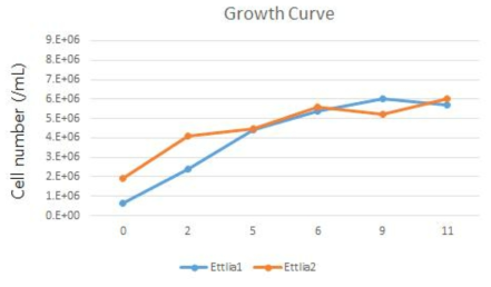 Ettlia sp. Axenic broth culture (TAP medium)의 생장곡선