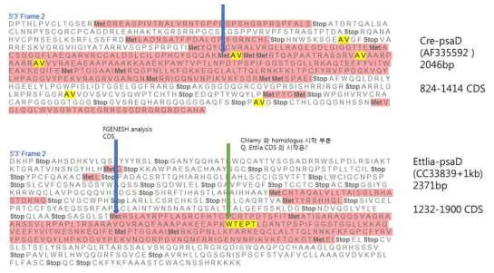 Gene annotation 결과를 바탕으로 gene structure 분석