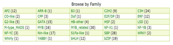 Chlamydomonas의 전사인자 Class 별 정보