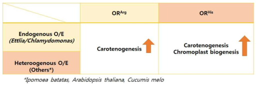 Or protein의 Ettlia와 Chlamydomonas O/E 전략