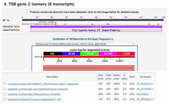 Ettlia TBS 정보 및 Blast search