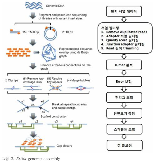 Ettlia genome assembly