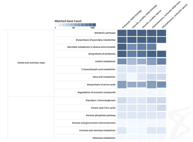 Prokayote, Chlorella 2종, Chlamydomonas 2종 기반 KEGG 분석