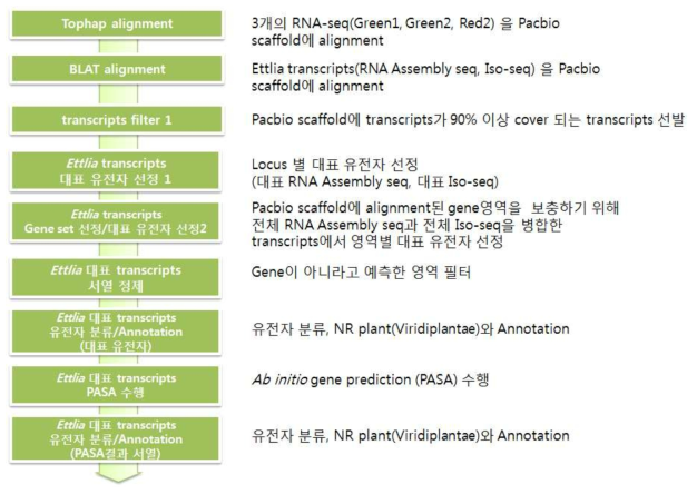 Gene modeling을 위한 전체 작업과정