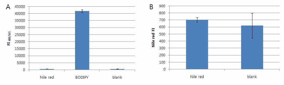 BODIPY와 Nile red의 형광 세기 비교. (A) BODIPY는 지질이 없는 조건에서도 매우 강한 형광 세기를 보이기 때문에 외부의 BODIPY에 대한 형광을 제거하는 방법이 필요하다. (B) Nile red는 지질이 없는 조건에서는 blank (증류수) 조건과 비슷한 형광값을 보인다