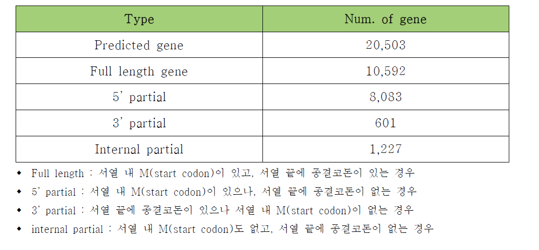 유전자 구조 구성에 따른 대표유전자 셋 비율